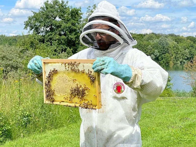 Imker im weißen Schutzanzug mit Schleier hält eine Wabe voller Bienen, im Hintergrund ein See und grüne Wiesen