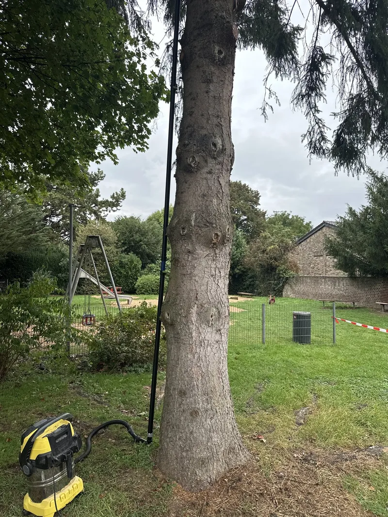 Absauggerät und Teleskopstange am Stamm eines Baumes, Einsatzstelle mit Absperrband